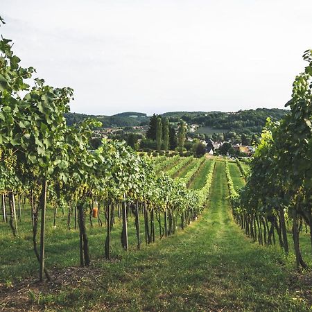 Wein & Gaestehof Erlacher Hartmannsdorf Ngoại thất bức ảnh