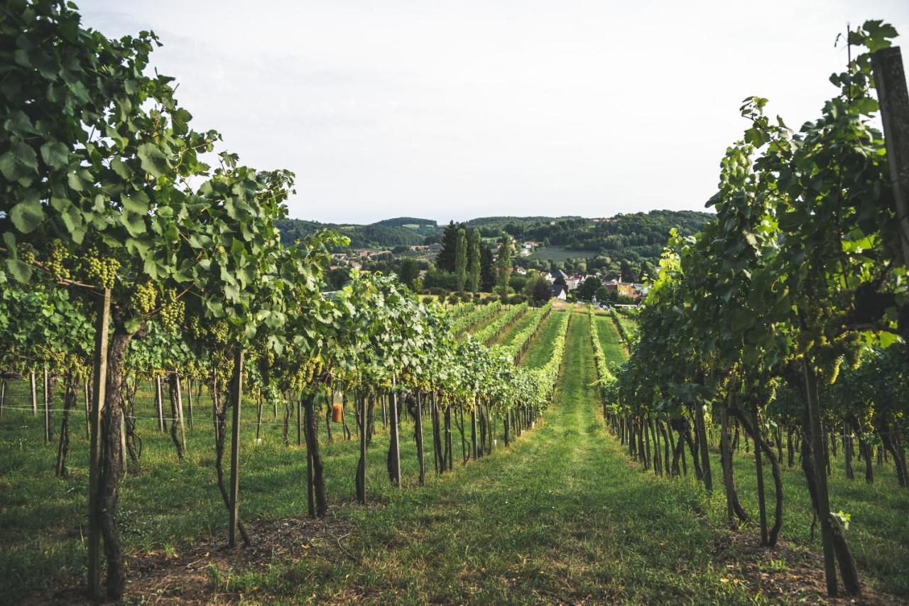 Wein & Gaestehof Erlacher Hartmannsdorf Ngoại thất bức ảnh